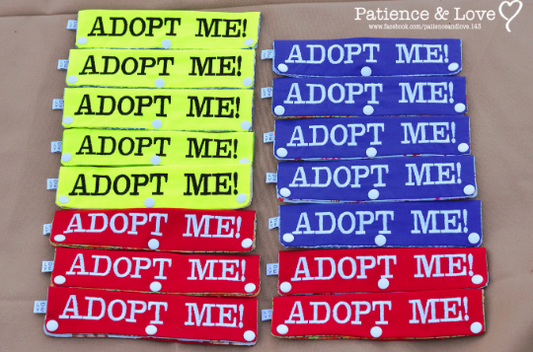 ADOPT ME, Set of 20 leash sleeves