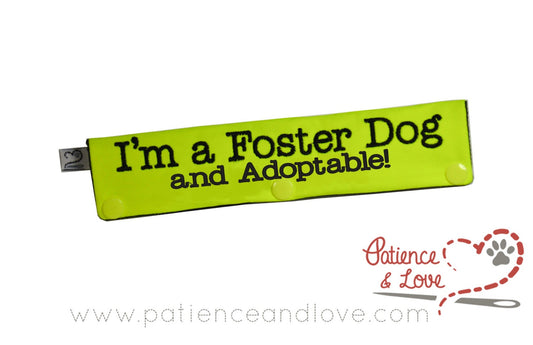 One Leash Sleeve embroidered with the following on both sides of the sleeve:       I'm a Foster Dog, and Adoptable!      Example in the listing photo has the following color selections:        • Bright yellow fabric, black (1800) text.